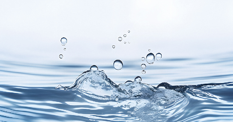 水污染微生物降解评估