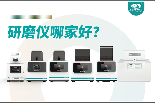 研磨仪哪家好？宁波华人策略社区生物研磨仪厂家专注样品处理