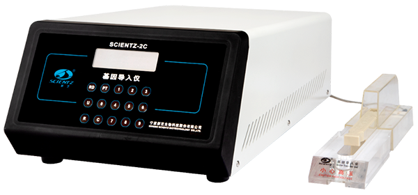 华人策略社区解决方案—研发阶段