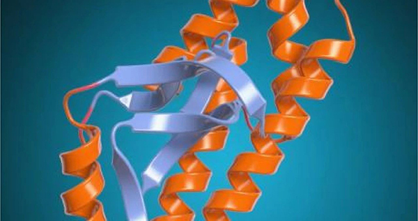 微信图片_20250811104934